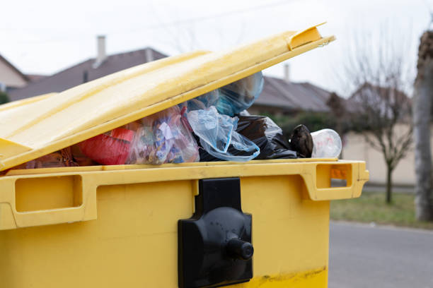 Best Same-Day Junk Removal Services  in High Springs, FL